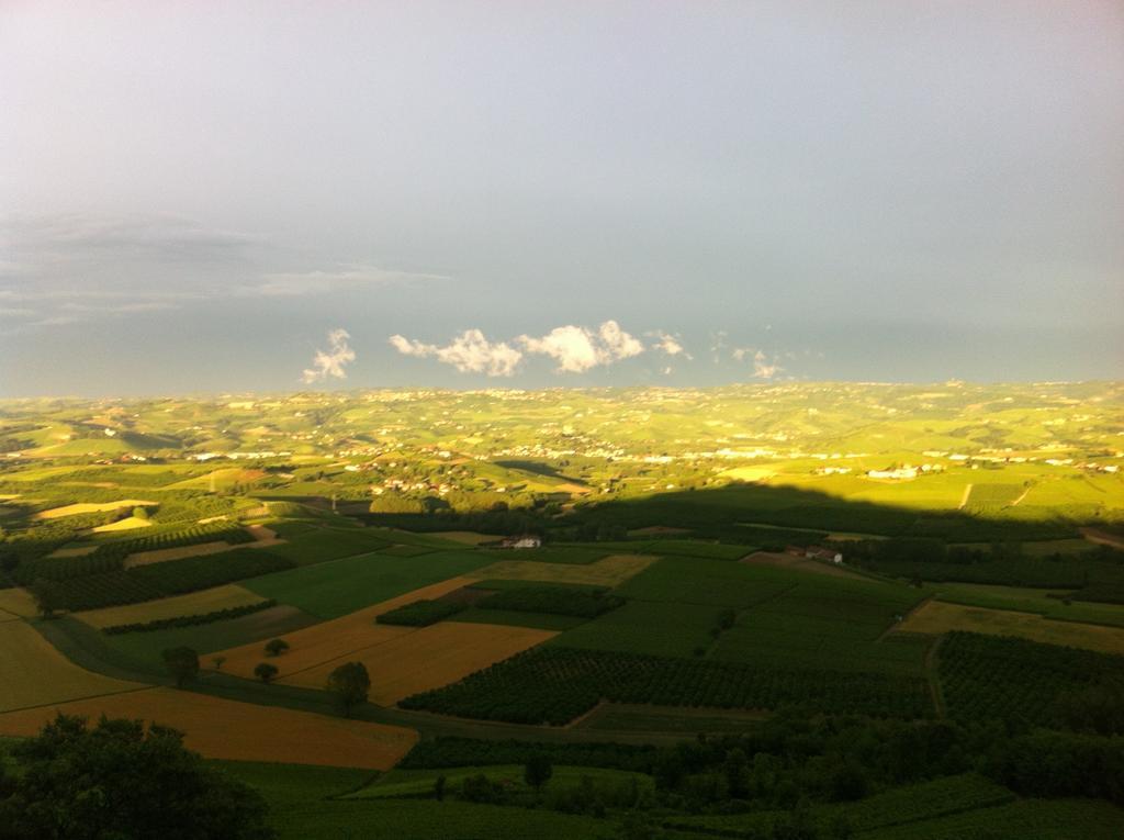 La Vigna Del Parroco